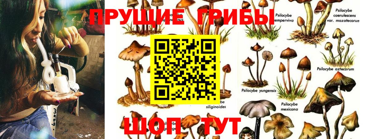 Лесозаводск  Галлюциногенные грибы Magic Shrooms  Вход с VPN  Галлюциногенные грибы Psilocybine cubensis 